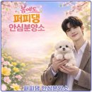 고려환경 | 청주 상당구 용암동 강아지분양, 산책 환경까지 고려한 선택 후기