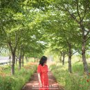 정동1교 이미지