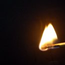 주식회사 가히 이미지