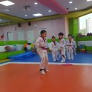 인더짐 유아 태권도 이미지