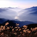 강산 이미지