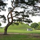 바람꽃펜션 네이버블로그