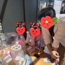 에스에스씨학원 | 🚀 과천과학관 습격 사건! 우리 아이들의 놀라운 하루! ✨