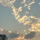 일산로463번길 이미지