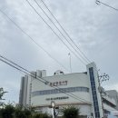 군산공설시장 | 군산맛집 평화족발 군산공설시장 미니족발 매운잡채 후기