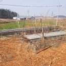 장명초등학교 이미지