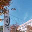 다금정