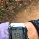 팔용산 등산로 입구 이미지