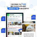 광명광고 이미지