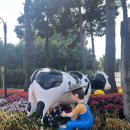 각하목장 이미지