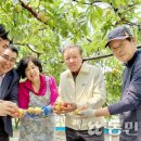 살구하우스