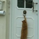 어반스테이 호텔 동탄 이미지