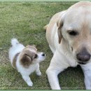 아이조아요양보호소 안양점 이미지