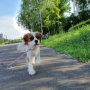 스퀘어에듀센터 이미지