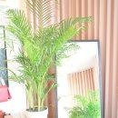 방배로19길 31 이미지