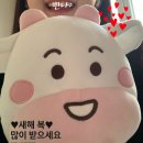 위키스터디 이미지