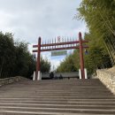 제원로 | 담양 여행지 언제가도 좋은 '죽녹원' 겨울방문 후기