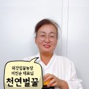 외갓집꿀농장