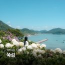 고흥 쑥섬 수국 애도 배편 예약 고흥나로도 전라도 섬 여행