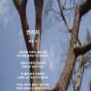 연리지 이미지