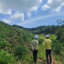 서부지방산림청(정읍국유림관리소) 이미지