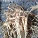 삼오농장 이미지