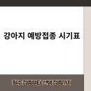 강아지 예방접종 시기표 | 초보 반려인을 위한 필수 가이드 2025