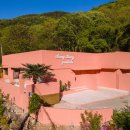 일랑일랑 스테이 이미지