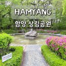 구월문화어린이공원 공원화장실 | 경남 함양 가볼만한곳 상림공원 아이랑 여행 5월 산책 나들이