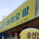 송산바이오팜