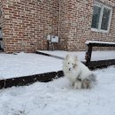 송파동물의료센터 이미지