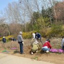 바람개비 이미지