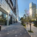 송도중앙약국 이미지