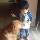 진영농원