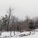 새벽숲농장 이미지