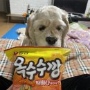 규람마트 이미지