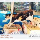 구리수퍼 이미지
