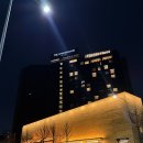 뽕뽑기 | [서울] 엠배서더 서울 풀만 이그제큐티브 남산뷰 호캉스 솔직 후기 (라운지 뽕뽑기 꿀팁🍯)