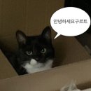 2015 토요명품공연 | [국립국악원 토요명품] 국악 공연 후기, 서울 놀거리로 추천@2026년 첫 글!