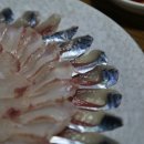 성산포자연산회센타