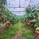 세동2통경로당 이미지