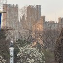 한양대학1길 1 | [KOPLE] 코넥터6기 첫 정기회의! 3월 코넥터의밤 다녀왔습니다! 🤗🏁