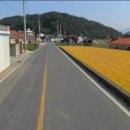 남해-309 이미지