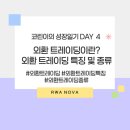 주디 트레이딩