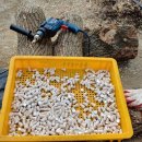 두루봉농원2 이미지