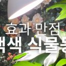 홍전기조명 이미지