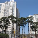 상대평경로당 Daum카페