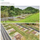 오토오아시스 구리인창점 | 🏕️ 도심 속 숨겨진 자연의 쉼터, 구로구 천왕산 가족캠핑장에서의 하룻밤 + 신형 에어텐트 쿠디 10.0...