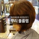 쟈크데상쥬헤어과천점 | 과천미용실 쟈끄데상쥬 다녀오다^^