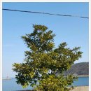 창선농장 이미지